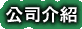 Our Company